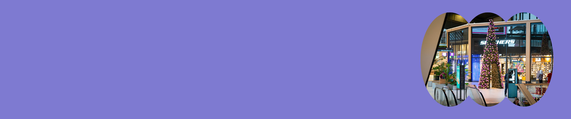 Vier meren Slider December